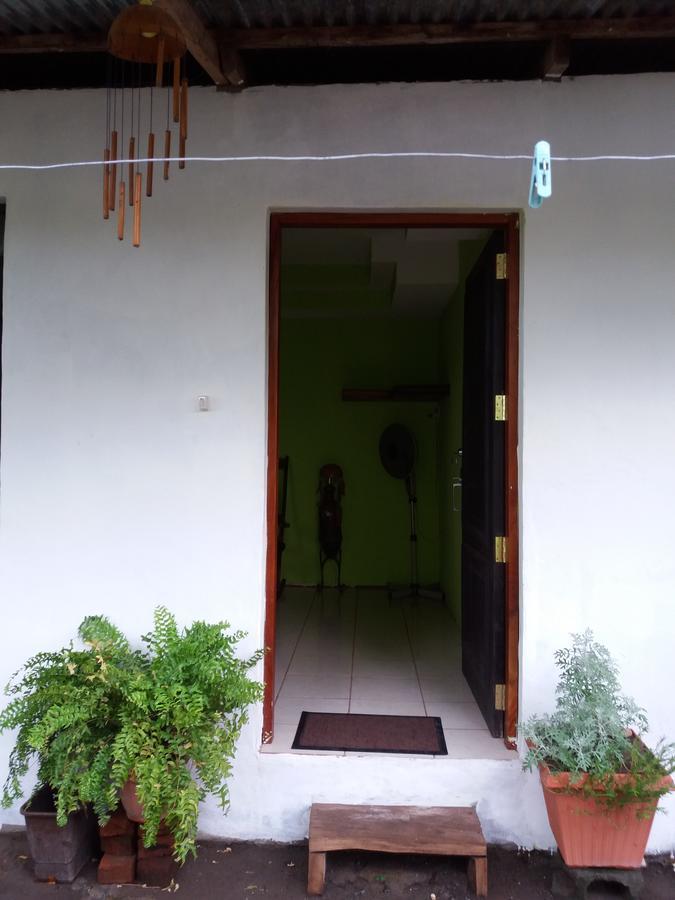 Santa Cruz Mi Ranchito Bed & Breakfast エクステリア 写真
